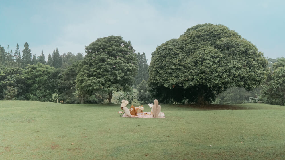 SLK Picnic Ground